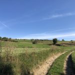 Nagygalambfalvi Közbirtokosság Nagygalambfalvi Közbirtokosság