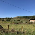 Kisgalambfalvi Közbirtokosság Kisgalambfalvi Közbirtokosság