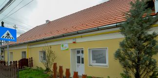 Napraforgó Gyógyszertár o