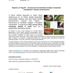 Vegyél részt az “Együtt! – toleranciával és tisztelettel erősítjük a társadalmi összetartást!” karitatív eseményen “Együtt! – toleranciával és tisztelettel erősítjük a társadalmi összetartást!”