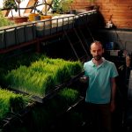 Szabó Bilibók Attila búzafűlé termesztő: „Nem ok nélkül sodort ide minket az élet.” Szabó Bilibók Attila búzafűlé termesztő: "Nem ok nélkül sodort ide minket az élet."