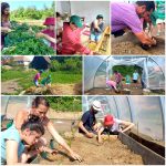 Nagyköveteket keresnek: Fuss velük, fuss értük! Nagyköveteket keresnek: Fuss velük, fuss értük!