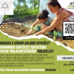 Segítsd a Három Galamb Egyesületet, hogy segíthessen! Segítsd a Három Galamb Egyesületet, hogy segíthessen!