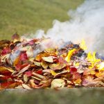 NE ÉGESS! – Mit kezdjek a kerti hulladékkal? A kerti hulladék égetése egy elterjedt rossz szokás!