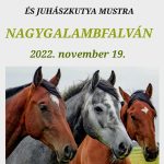 Lovas találkozó és juhászkutya mustra Nagygalambfalván Lovas találkozó és juhászkutya mustra Nagygalambfalván