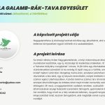 Játszóteret a nagygalambfalvi Várféléhez! Játszóteret a nagygalambfalvi Várféléhez!