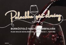 Palackba zárt élmény – egy különleges borkóstoló Nagygalambfalván Palackba zárt élmény - egy különleges borkóstoló Nagygalambfalván